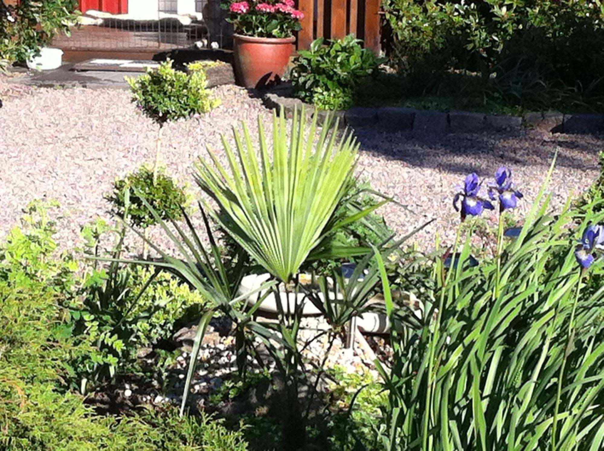 Mattisgarden Bed & Breakfast Östra Ljungby エクステリア 写真