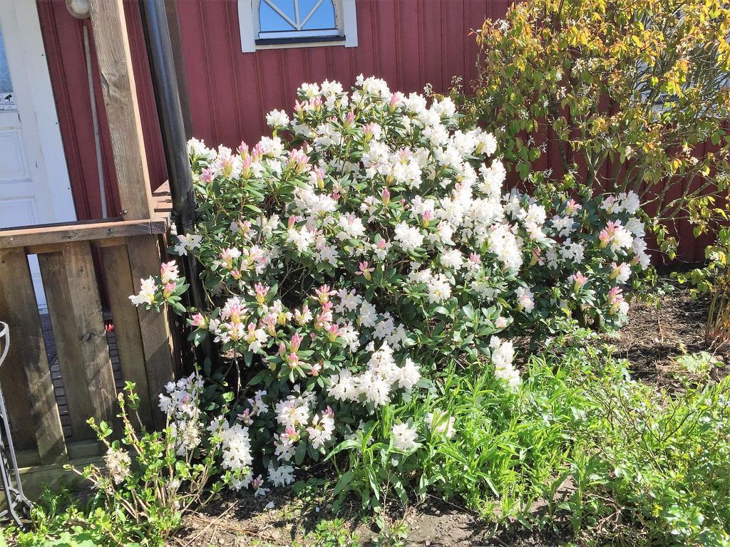 Mattisgarden Bed & Breakfast Östra Ljungby エクステリア 写真
