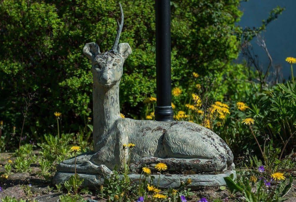 Mattisgarden Bed & Breakfast Östra Ljungby エクステリア 写真